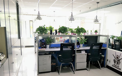 918博天堂科技：2025年兰州专业的IT解决方